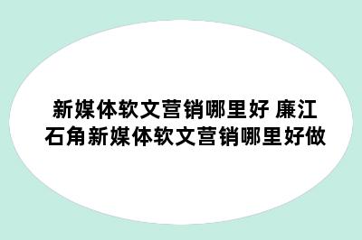 新媒体软文营销哪里好 廉江石角新媒体软文营销哪里好做